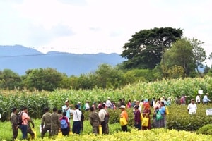 Día de campo con tecnologías agrícola